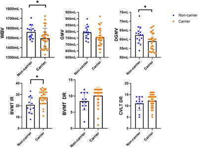 Human restricted CHRFAM7A gene increases brain efficiency